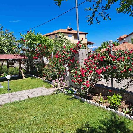 Villa Jenny Leptokaryá Exterior foto