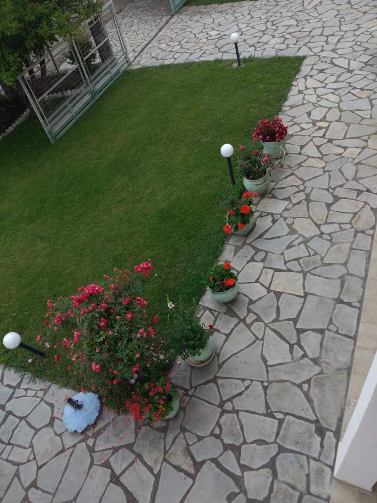 Villa Jenny Leptokaryá Exterior foto